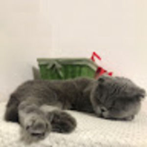 Meet your Posher, Jill